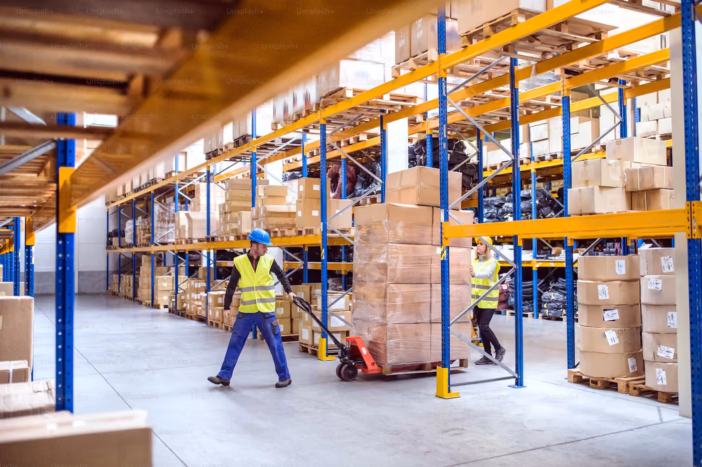 Procfly team working with procurement data